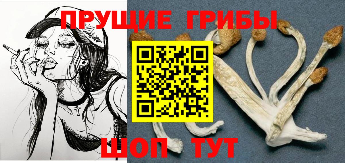 Псилоцибиновые грибы мицелий  Псилоцибиновые грибы GOLDEN TEACHER  Вход с VPN  Наро-Фоминск 